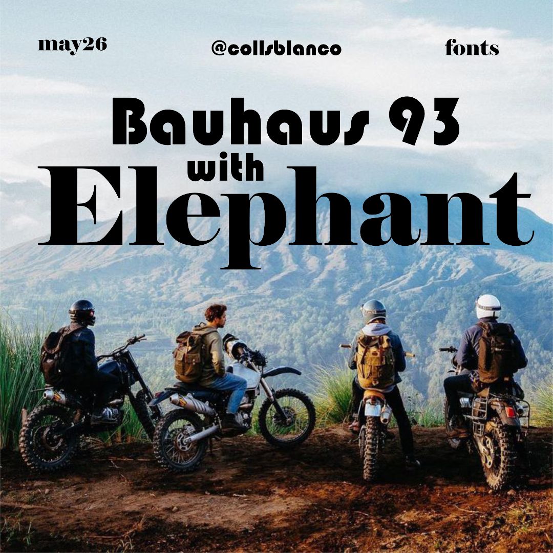 Bauhaus 93 amb Elephant